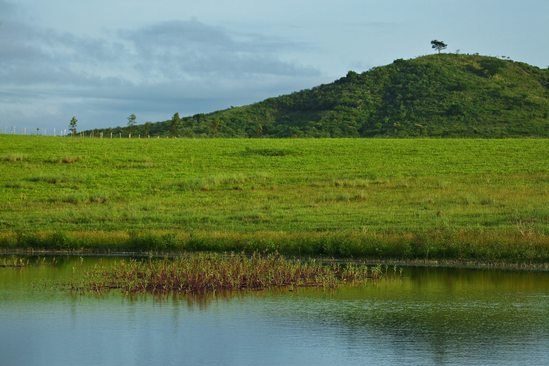 Açude no horizonte da fazenda