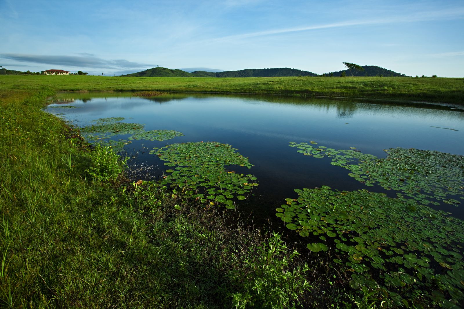 Açude panorâmico da fazenda