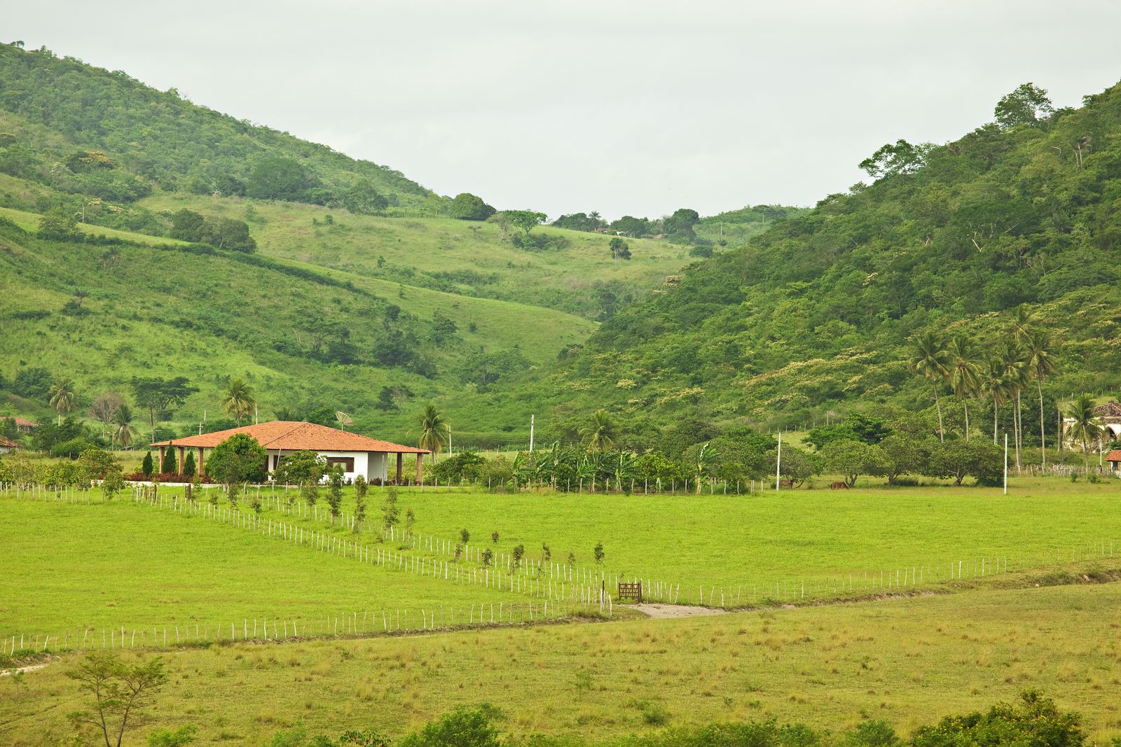 Casa nas colinas do agreste